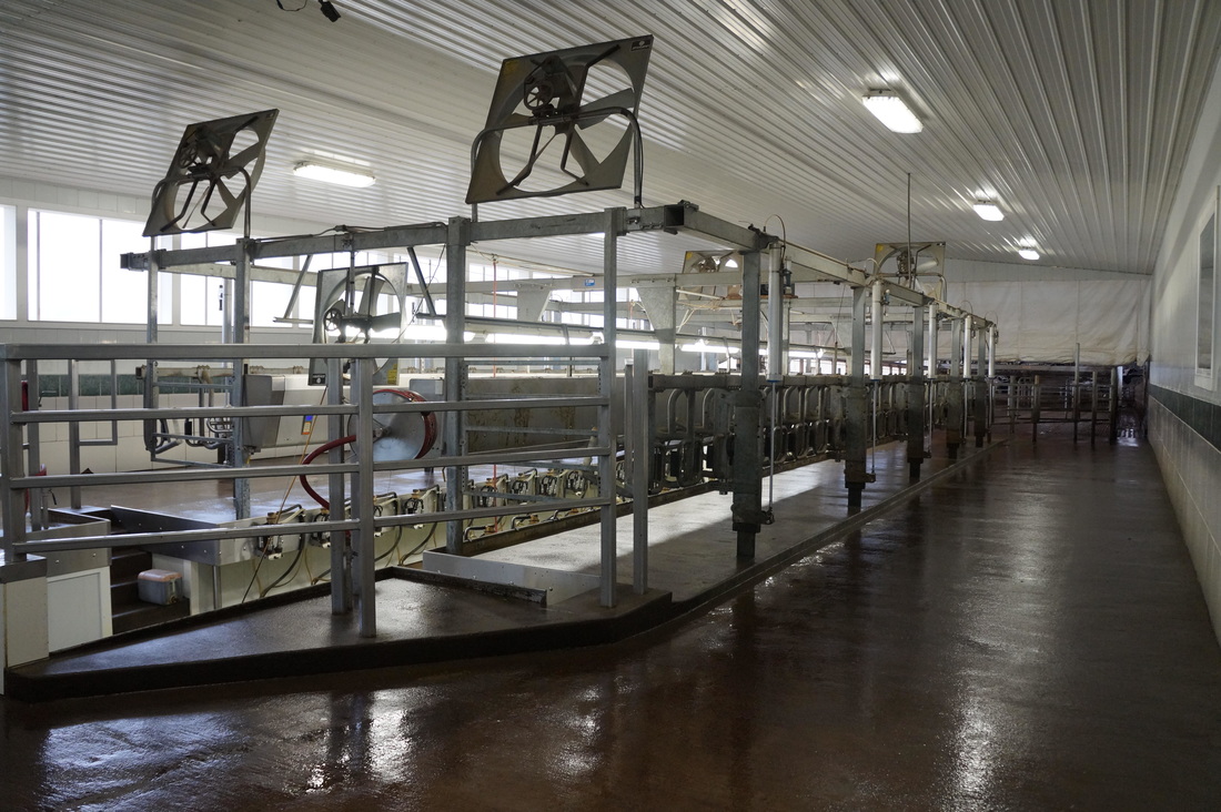 Conventional Milking